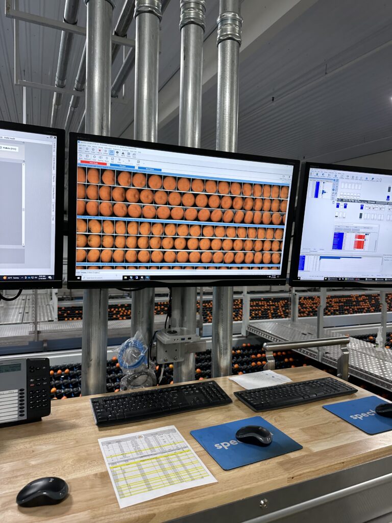 A computer screen shows dozens of photographs of mandarins taken by a camera that can sense and reject bad fruit.